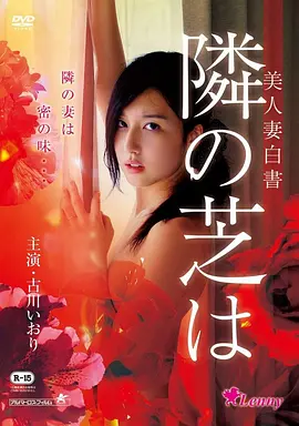 第九次日落 文艺片在线观看